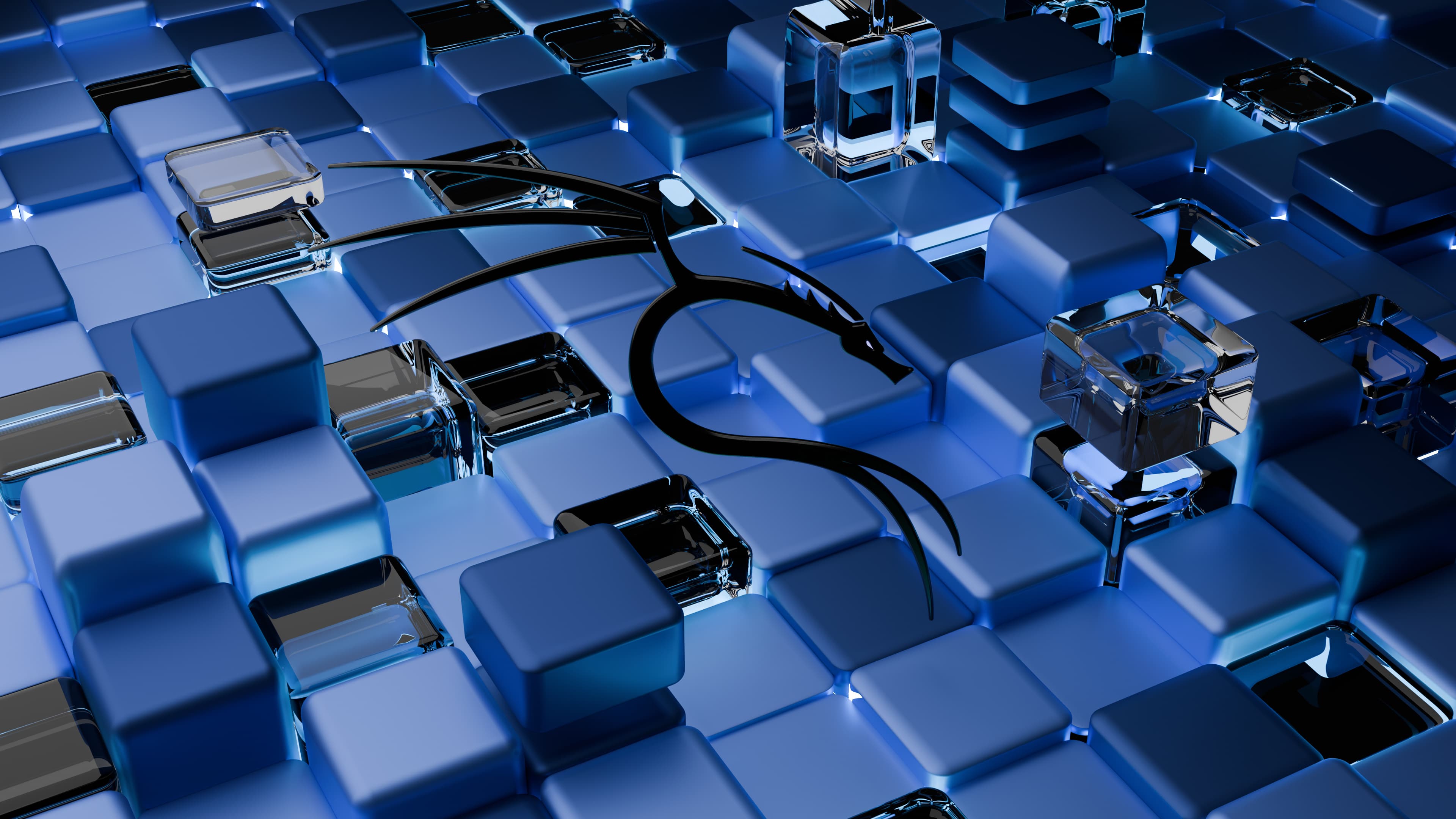 Should I Use Kali Linux?